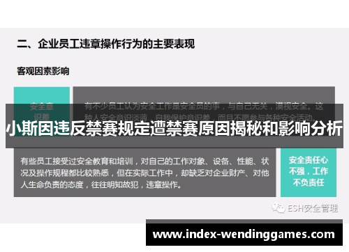 小斯因违反禁赛规定遭禁赛原因揭秘和影响分析