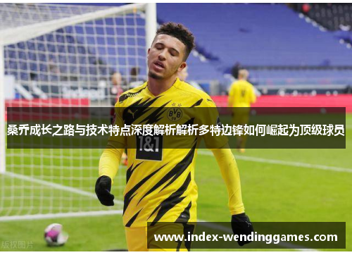 桑乔成长之路与技术特点深度解析解析多特边锋如何崛起为顶级球员